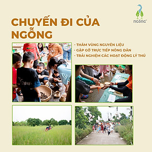 Gạo Ngỗng ST25 Sinh Thái Xát Lứt 3kg (Túi)