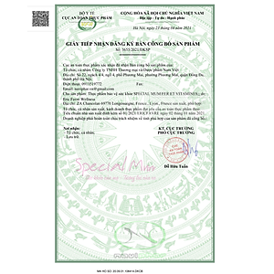 Sắt nước Special Mum Fer et Vitamines Bổ sung sắt hữu cơ và vitamin, phòng ngừa thiếu máu thiếu sắt, giảm mệt mỏi cho phụ nữ mang thai và sau sinh. - 10ml x 20 gói