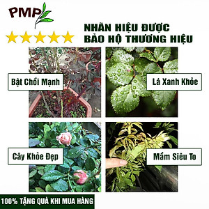 Phân Bón Hữu Cơ Vi Sinh PMP Dạng Viên Nén, Chuyên Dụng Cho Hoa Hồng, Rau Củ Quả Super Probio 1Kg