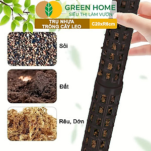 Trụ nhựa trồng cây, D20xR6cm, nhựa cứng, có khớp dễ nối dài, chuyên hệ cây leo, trầu bà, kiểng lá |Greenhome