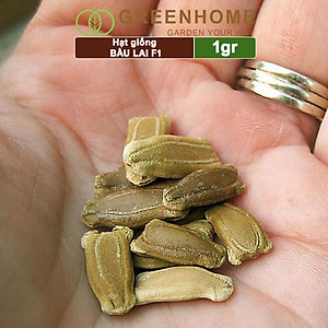Hạt Giống Bầu Lai Greenhome, Gói 1gr~10 hạt, Dễ Trồng Quanh Năm, Nảy Mầm Cao, Thu Hoạch Nhanh, Năng Suất Cao T09
