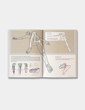 Sách 69 Sắc Thái - Giải Phẫu Học Nghệ Thuật