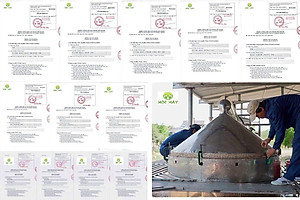 Tinh dầu vỏ bưởi da xanh Mộc Mây - tinh dầu nguyên chất từ thiên nhiên - chất lượng và mùi hương vượt trội