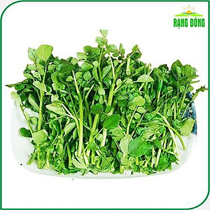 Hạt giống Xà Lách Xoong Sinh Trưởng Khỏe, Trồng Quanh Năm (gói 1 gram) - Hạt Giống Rạng Đông