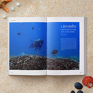 WOWWEEKEND ORIGINAL 03 - REFRESH 2020