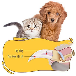 Bộ Kìm cắt móng và giũa chó mèo Kún Miu Grooming tool bấm móng cho thú cưng