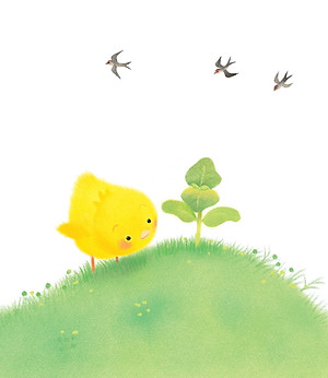 Sách - Gà con và hoa hướng dương