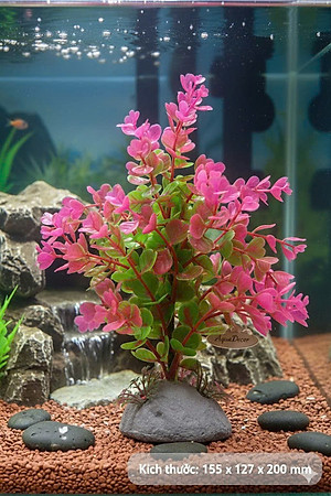 Cây Nhựa Trang Trí Bể Cá Thủy Sinh Lớn Tím Hồng Cao 20cm (Mã PK01)