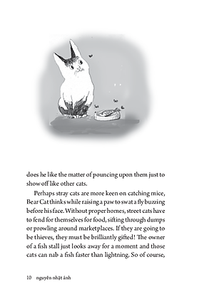 Sách Two cats sitting at a window - Nguyễn Nhật Ánh