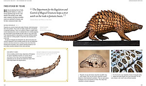 Sách Fantastic Beasts: The Wonder of Nature (Amazing Animals and the Magical Creatures of Harry Potter and Fantastic Beasts) (Paperback)