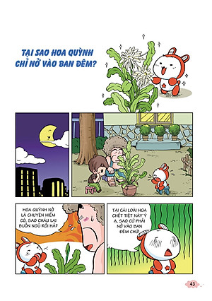 Sách 10 Vạn Câu Hỏi Vì Sao - Khám Phá Thế Giới Thực Vật (Tái Bản 2018)