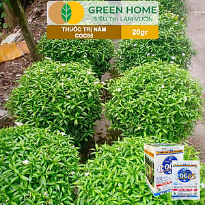 Thuốc Trị Nấm Cây Trồng Greenhome, Coc85 Wp, Gói 20gr, Trừ Đốm Lá Cho Hoa Hồng, Nấm Trên Kiểng Lá, Cây Cảnh, Cây Ăn Quả