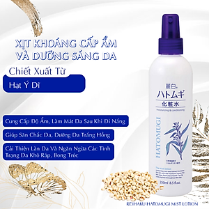 Xịt Khoáng Trắng Da Reihaku Hatomugi Mist Lotion (Chai 250 mL)