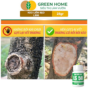 Keo Liền Sẹo LS50 Cho Cây Greenhome, Liền Nhanh Vết Cắt Da Cây, Chiết Cành,  Bonsai, Lan, Kiểng Lá