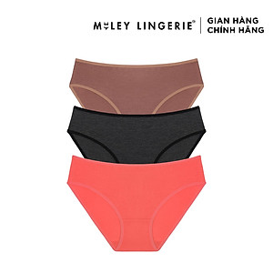 Combo 3 Quần Lót Cotton Lụa Plus Size Miley Lingerie Nature Wind FCP_11