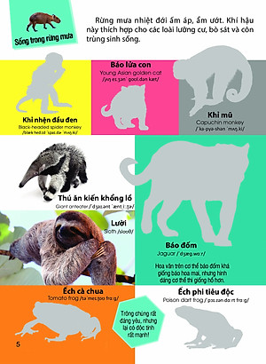 Sách Dán hình nhận biết động vật - Động vật hoang dã