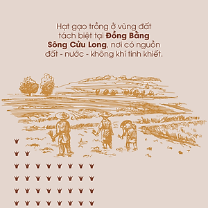 Gạo lứt nâu hữu cơ cao cấp/ECOBA Kim Mễ 1kg - Gạo lứt giảm cân - Cơm ngon mềm dẻo