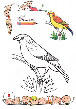 Sách Tô Màu - Mẫu Giáo - Các Loài Chim