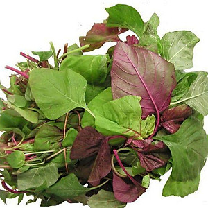 Hạt Giống Dền Tiều Cao Sản Phú Nông