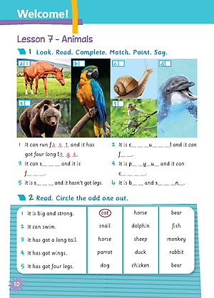 Tiếng Anh 5 Extra and Friends - Activity Book (Sách bài tập)