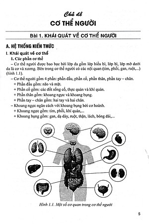 Bồi Dưỡng Học Sinh Giỏi Sinh Học 8 (Dùng Chung Cho Các Bộ SGK Hiện Hành) 