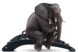 Khung Nắn Chỉnh Cột Sống, Khung Định Hình Cột Sống, Trị Thoát Vị Đĩa Đệm, Đau Lưng, Vai Gáy, Dụng Cụ Hỗ Trợ Tập Lưng - Chính Hãng Amalife - LƯỢN SÓNG