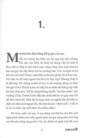 Sách Series Đứa Con Của Thần Maya Phần 1: Truy Bão