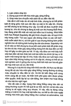 Sách Giúp Con Đương Đầu Với Stress