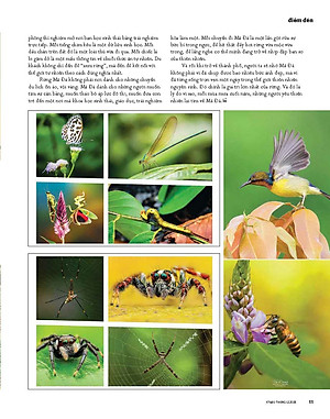 Tạp chí Kiến Trúc và Đời Sống số 234 (Tháng 12-2025)_ Kiểm soát chi phí khi xây nhà