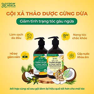 Bộ dầu gội thảo dược gừng dừa Cocayhoala hỗ trợ trị gàu, giảm nấm ngứa, dung tích 440g/chai- 95% thành phần từ gừng tươi hữu cơ còn nguyên xơ gừng, hỗ trợ trị rụng tóc, kích thích mọc tóc vượt trội