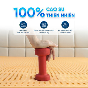 Nệm Cao Su Thiên Nhiên Latex Thuần Việt - Nâng Đỡ 7 Vùng, Thoáng Khí - Bảo Hành 15 Năm
