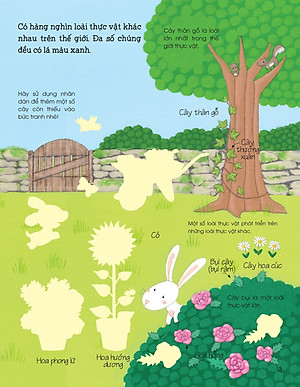 Sách Thế Giới Trong Tay Em - Sự Sinh Trưởng Của Vạn Vật