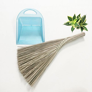 Chổi rễ - chổi chà - chổi xương - chổi dừa quét nước, quét sân