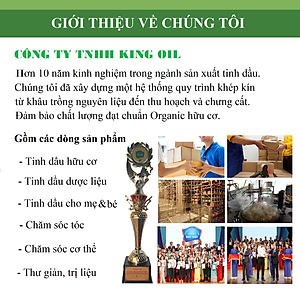 Tinh dầu Táo nguyên chất từ thiên nhiên, xông phòng, khử mùi, đuổi muỗi, thơm phòng - KingOil