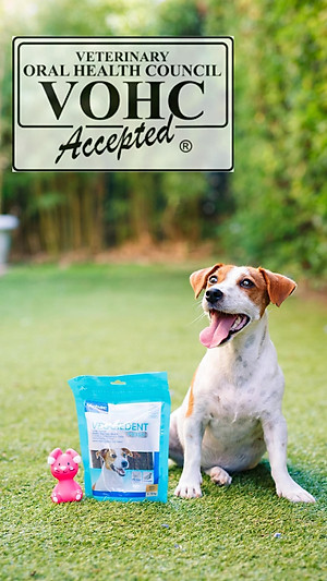 1 thùng (10 gói) Veggiedent sạch răng, thơm miệng, giảm cao răng cho chó (Virbac)