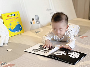 Combo Trò Chơi Kích Thích Thị Giác