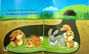 Sách Tớ Là Một Chú Thỏ - Song Ngữ Anh - Việt