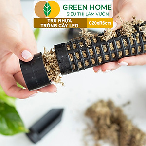 Trụ nhựa trồng cây, D20xR6cm, nhựa cứng, có khớp dễ nối dài, chuyên hệ cây leo, trầu bà, kiểng lá |Greenhome