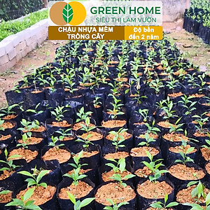 Chậu Trồng Cây Greenhome, nhiều kích thước, Nhựa Mềm, Dẻo, Nhẹ, Trồng Cây, Bầu Ươm Cây Giống, Độ Bền Đến 2 Năm
