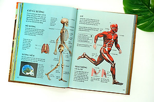 Sách Thiếu Nhi – Bách Khoa Tri Thức Dành Cho Trẻ Em – Đinh Tị