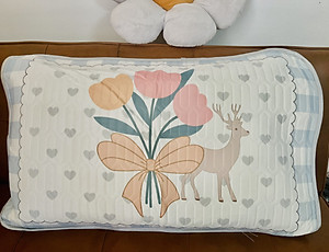 Combo 2 vỏ gối cao su non tencel 50x70cm cao cấp A  - áo gối cao su non - áo gối vỏ gối - Giao Màu Ngẫu Nhiên