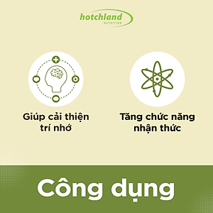 Viên uống Ginkgo Biloba hỗ trợ tăng cường tuần hoàn máu não, bổ não Hotchland Mega Brain TPBVSK-Hàng chính hãng [Hộp 60 viên]-HL0115