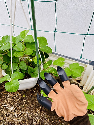 Găng Tay Làm Vườn Có Móng Đào Đất Trồng Cây