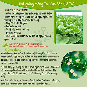 Hạt Giống Mồng Tơi Cao Sản Mồng Tơi Lá To Dễ Trồng,Giàu Dinh Dưỡng - Phú Nông Seeds 15Gr
