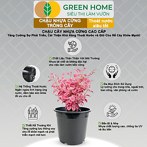 Bộ 3 Chậu nhựa trồng cây, nhiều kích thước, thoát nước tốt, đa dạng kích thước trồng cây, hoa, kiểng lá |Greenhome