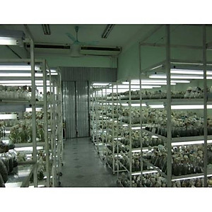 Đèn LED Trồng Cây, Đèn Quang Hợp Trồng Rau, Hoa và Cây Cảnh Trong Nhà, Đảm Bảo - Hàng chính hãng