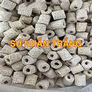 Vật Liệu Lọc Hồ Cá (100g) - Viên Sứ Lọc, Xử Lý Nước Bể Cá Loại Tốt Giá Rẻ - Phụ Kiện Thủy Sinh Cá Cảnh