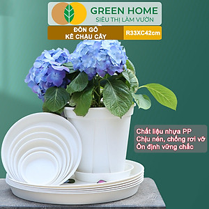 Đĩa Nhựa Lót Chậu Cây Greenhome, Nhiều Kích Cỡ, Hứng Nước Giúp Sạch Bàn, Sàn, Nhựa Nguyên Sinh, Bền, Đẹp, Chóng Rơi Vỡ