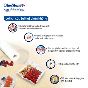 Túi Hút Chân Không Bluestone VBB-2121 - Hàng chính hãng