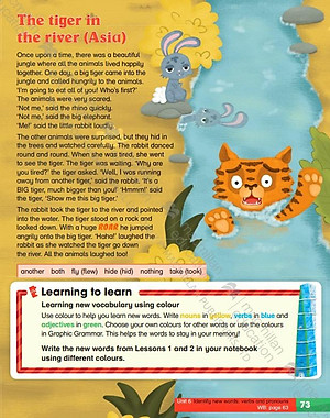 Academy Stars Level 4 Pupils Book Pack
